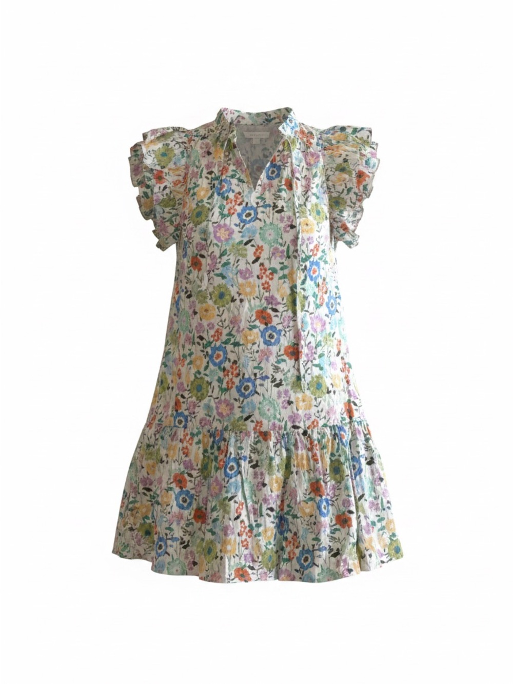 entro Multicolor Floral Ruffle Sleeve Mini Dress